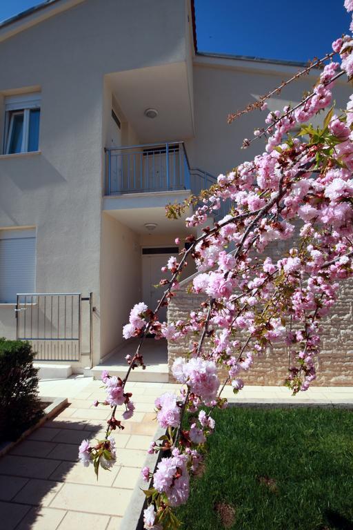 Apartments Sea View Kožino Eksteriør billede